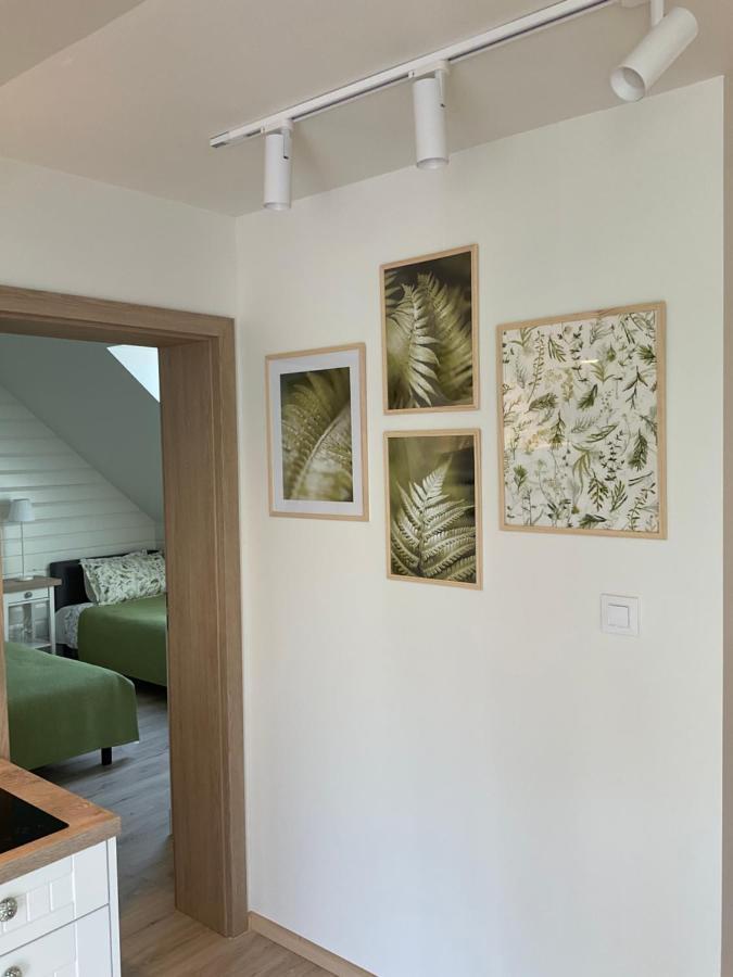 Apartamenty U Kasi Kudowa-Zdrój Exterior foto